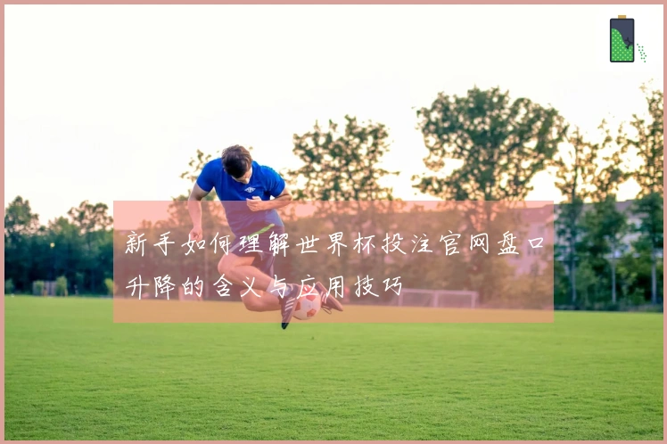 新手如何理解世界杯投注官网盘口升降的含义与应用技巧