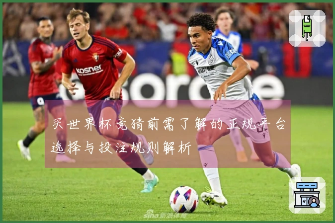 买世界杯竞猜前需了解的正规平台选择与投注规则解析