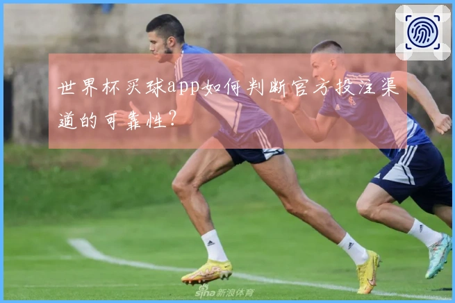世界杯买球app如何判断官方投注渠道的可靠性？