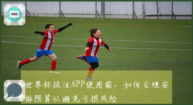 世界杯投注APP使用前,如何合理安排预算以避免亏损风险