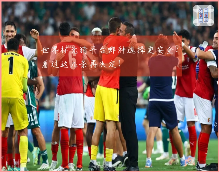 世界杯竞猜平台哪种选择更安全？看过这几条再决定！