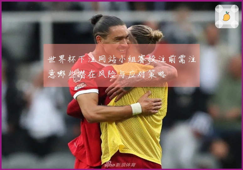 世界杯下注网站小组赛投注前需注意哪些潜在风险与应对策略