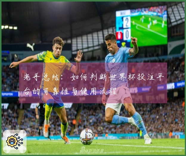老手总结：如何判断世界杯投注平台的可靠性与使用流程