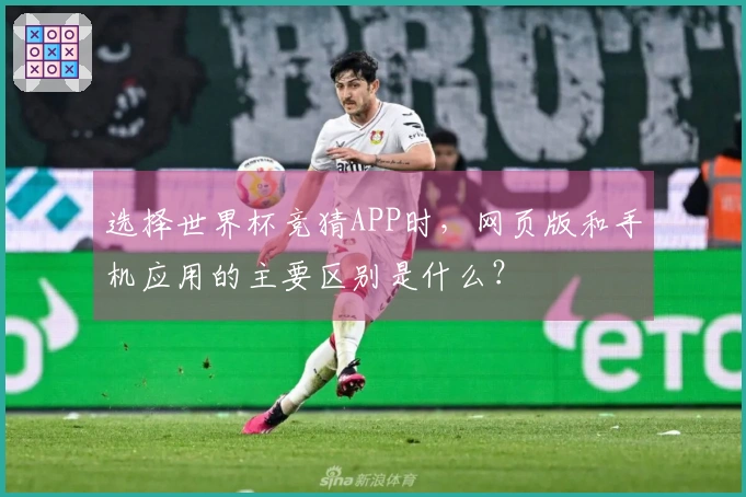 选择世界杯竞猜APP时，网页版和手机应用的主要区别是什么？