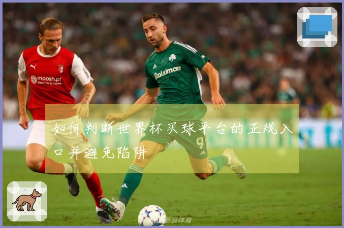 如何判断世界杯买球平台的正规入口并避免陷阱