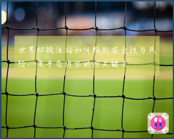 世界杯投注站如何甄别安全性与风险，老手告诉你这些关键点