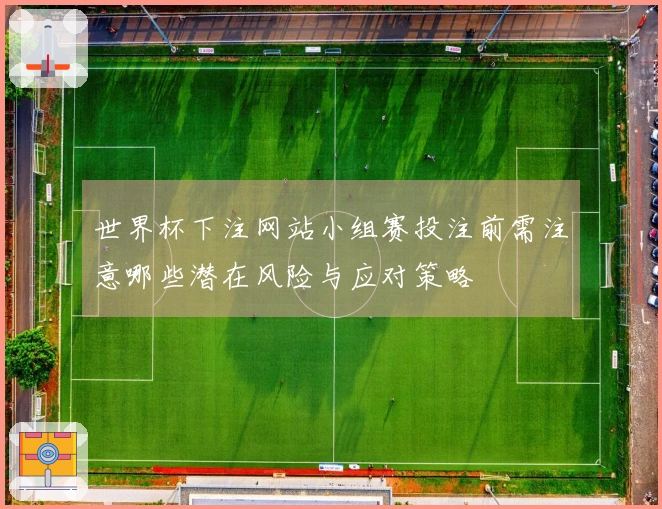 世界杯下注网站小组赛投注前需注意哪些潜在风险与应对策略