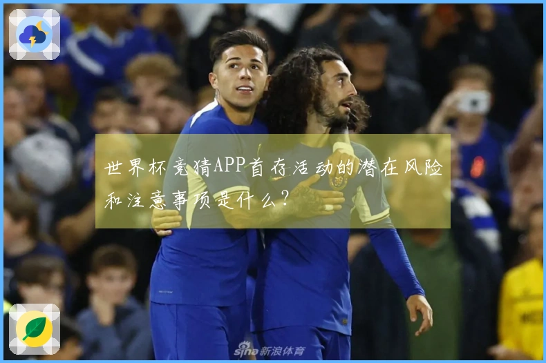 世界杯竞猜APP首存活动的潜在风险和注意事项是什么？