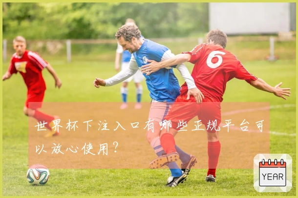 世界杯下注入口有哪些正规平台可以放心使用？