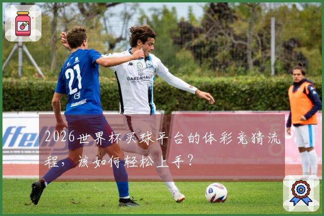 2026世界杯买球平台的体彩竞猜流程，该如何轻松上手？