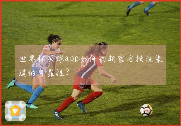世界杯买球app如何判断官方投注渠道的可靠性？