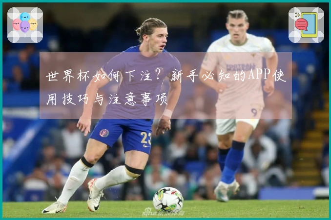 世界杯如何下注？新手必知的APP使用技巧与注意事项