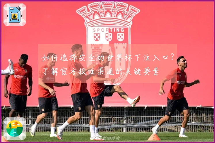 如何选择安全的世界杯下注入口？了解官方投注渠道的关键要素