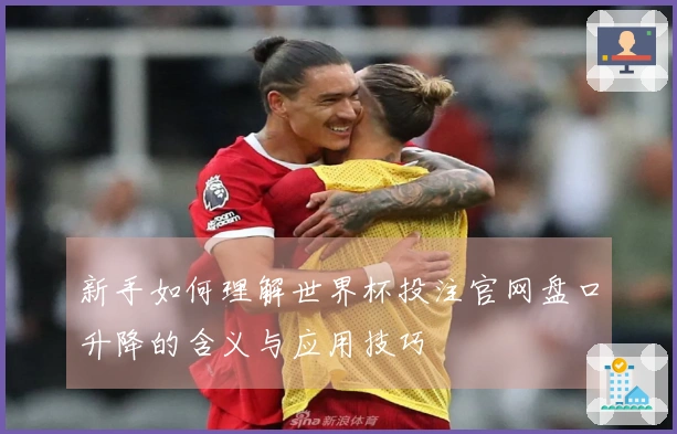 新手如何理解世界杯投注官网盘口升降的含义与应用技巧